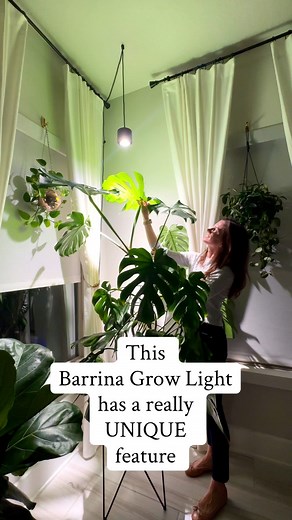 This grow light has some features I’m genuinely impressed with. The 15–60° illumination range gives bigger plants the coverage they actually need, and the light it puts out is soft and glare-free. Link will be in the first comment 💚 You can also get 5% off on their website with the code Jacquelyngrows! #houseplants #growlight #plantcare #indoorplants #plantlover #urbanjungle #growwithsansi #plantsetup #planttips #barrina #barrinagrowlight TR40 spotlight | adjustable grow light | wide beam grow