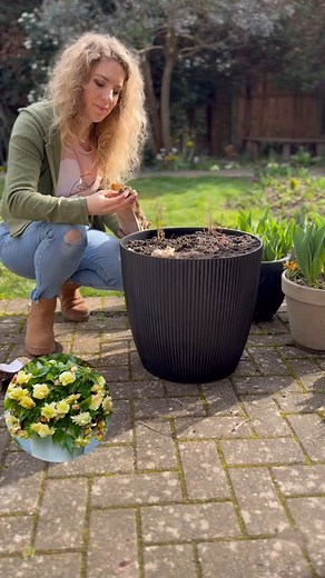 Farmer Gracy | You can plant summer bulbs and bare root perennials directly into large patio containers to create a combination which is like a mini... | Instagram