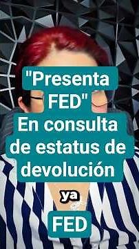 "FED Submits" In return status inquiry. Why does that button appear? SAT