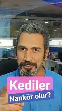 ✅ Kediler nankör olur! 😼 (Mit mi Gerçek mi?)