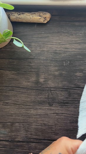 12K views · 81 reactions | I love creating Macrame Angels all year round. • They're especially popular during the holidays, but I also receive orders throughout the year, which brings me joy. • You can make your own using my YouTube tutorial or purchase one from my Etsy shop. Find all the links in my bio. • #macrame #macrameartist #macrameangel #macramewallhanging #angeldecor #handmadeangel #angelscraftsncreations | AngscraftsnCreations Macrame | Facebook