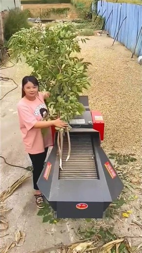 Even girls can operate this machine easily Chaff Cutter #shorts#viralshorts