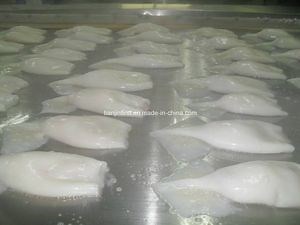 [Hot Item] Premium Stainless Steel IQF Tunnel Freezer for Efficient Frozen Food Processing