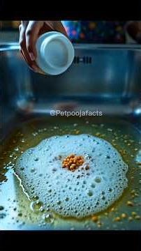 Top secret Amazing kitchen Hacks 🍵 😱 | Mind Blowing Hacks In Hindi |RandomFacts#shorts