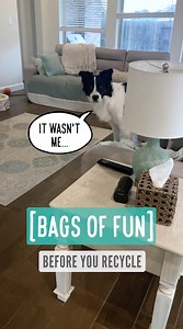 80K views · 6.2K reactions | Bags of Fun -- Before You Recycle *I...