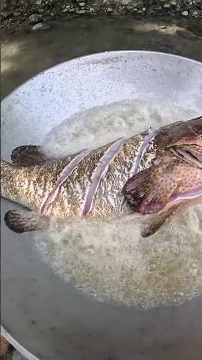 How to Fry Giant Grouper Fish