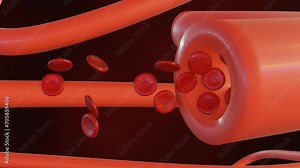 3d animation of Vasodilation is the medical term for when blood vessels relax and widen. This increases blood flow and lowers blood pressure