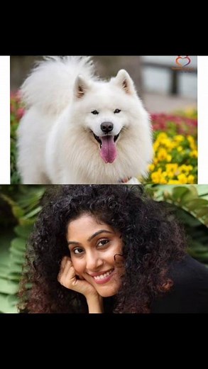 Top 10 CID officers and their dogs..! #cid #cid #daya #abhijeet #purvi #shortvideo #ytshorts