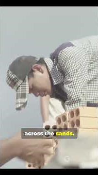 How They Build The Pyramid: Ancient Strength Revealed! 💪 #story #fyp #viral