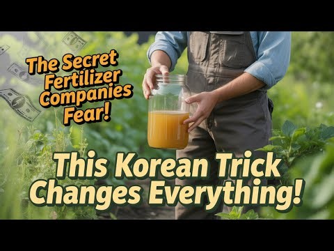Fertilizer Companies Hate This Korean Farming Secret – Grow Anything Naturally!