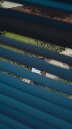 חשבונות מוצעים