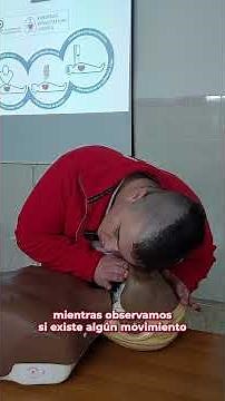 ¿Cómo hacer una RCP? Pasos