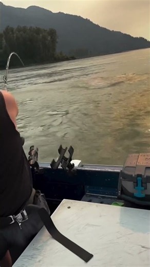 When the Sturgeon Is Just Too Big