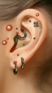 135K views · 403 reactions | Ear #asmrvideo #asmr #shortsreels #animationvideo #animation | ASMR Makeup | Facebook