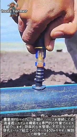 高級ナマコ養殖の裏側！稚ナマコの放流と海上作業の全貌 #worker #process #seacucumber #aquaculture #ocean