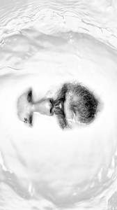 1.6K views | My new single 911 is out now! | Teddy Swims | Facebook