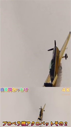 軽快なエンジン音が響く！プロペラ機の華麗アクロバットその２＠2023岐阜基地航空祭 #shorts