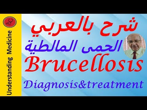Brucellosis Diagnosis and Treatment شرح بالعربي : الحمى المالطية_التشخيص العلاج