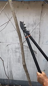 3.6K views | How to Use a Paint Sprayer for a Professional Finish!  #PaintSprayer #DIY #HomeImprovement #Tools #Creative | MasterMindful Tips | Facebook