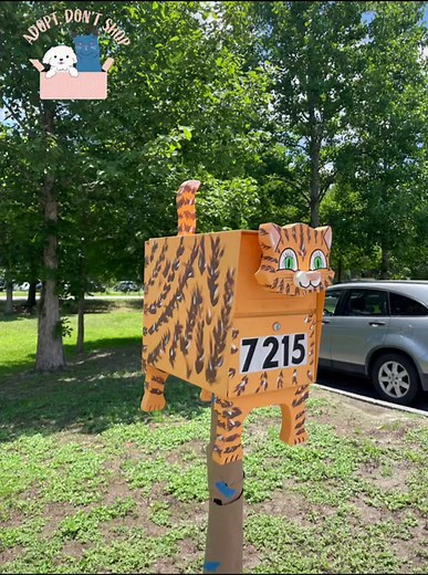 Custom kitty mailbox created for Humane Society for Greater Savannah. Base plan from The Winfield Collection with a few modifications to create fit their business mailbox. #humanesociety #adoptdontshop #kitties #puppies #woodworking #custommailbox #orangetabby #fatcat #humanesocietyforgreatersavannah #thewinfieldcollection