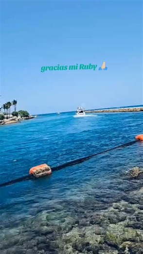 Videos de lilliam💎 TEAM RUBY 🕊️✨ (@lilliam_teamruby) con “sonido original - LUISANA🎙️”