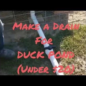 DIY Duck POND Drain. (Under $20)