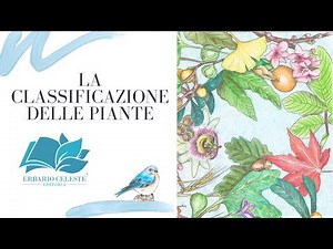 LA CLASSIFICAZIONE DELLE PIANTE