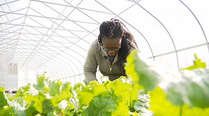 USDA awards $3.25M grant aimed at empowering Black farmers in Prince George’s County