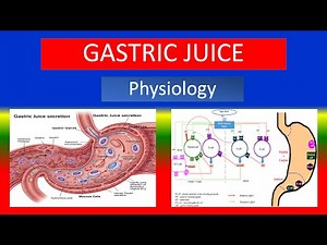 GASTRIC JUICE - composition, functions, mechanism, and regulation of gastric secretion - Physiology