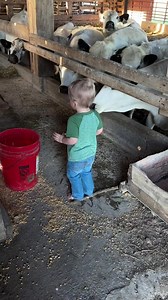 Bovines and barefoot babies 🖤 | Dr. Hake - Calf Vet