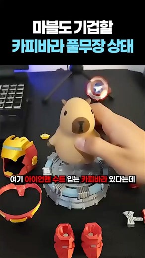 마블도 기겁할 카피바라 풀무장 상태