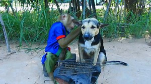 SokYaa Force Phao Eating Squids At Home, New Recipes | Sokya Video