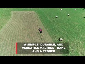 Ibex TS100 Belt Rake