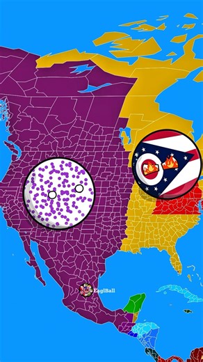 Ohio 🇺🇸 vs new country starvik in nuttshell 💀😱 #countryballs #humor #geography #viralshorts #shorts