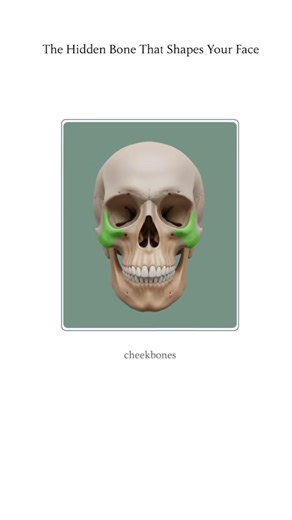 #winstonchurchill #andrzejwiedlak #andrzejpiaseczny #pooptok #che