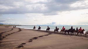 16 reactions | Love horses? Join Wild Women on our next horse adventure in Iceland: https://wildwomenexpeditions.com/destination/all/iceland/ video: Lindsay Blatt | Wild Women Expeditions | Facebook