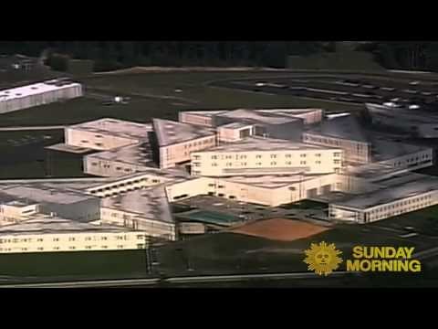 Why Did Bernie Madoff's Son Commit Suicide?