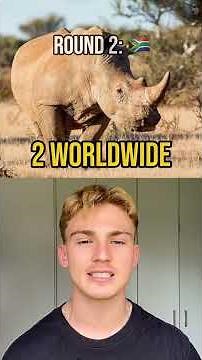 USA vs South Africa (wildlife edition)