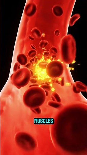What Happens to Your Body If You Eat Raw Red Meat Every Day?