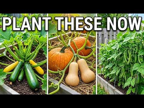 9 Crops You'll SERIOUSLY Regret Not Planting in June