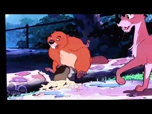 Lady and the tramp - beaver