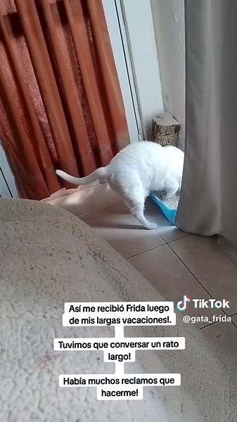 Conversación con Frida - Reclamos y Normalidad