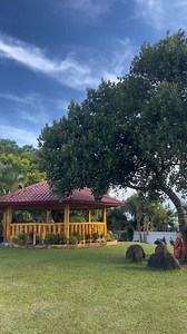 Experience serene views and well-maintained pools. 🍃 Come unwind at Antipolo Star Resort. For inquiries, feel free to message us here on our: 📩 𝐎𝐟𝐟𝐢𝐜𝐢𝐚𝐥 𝐅𝐚𝐜𝐞𝐛𝐨𝐨𝐤 𝐏𝐚𝐠𝐞: Antipolo Star Resort 📞 𝐂𝐨𝐧𝐭𝐚𝐜𝐭: 0999-514-0887 / 0947-234-9622 ☎️ 𝐓𝐞𝐥𝐞𝐩𝐡𝐨𝐧𝐞#: 02-8782-8284 / (02)-87827282 📧 𝐄𝐦𝐚𝐢𝐥: antipolostarresort@gmail.com 📍 𝐋𝐨𝐜𝐚𝐭𝐢𝐨𝐧: Garcia St. Payong Brgy. Dalig, Antipolo City 𝘓𝘢𝘯𝘥𝘮𝘢𝘳𝘬: 𝘕𝘦𝘹𝘵 𝘵𝘰 𝘈𝘷𝘪𝘥𝘢 𝘏𝘰𝘮𝘦𝘴 𝘚𝘶𝘣𝘥𝘪𝘷𝘪𝘴𝘪𝘰𝘯