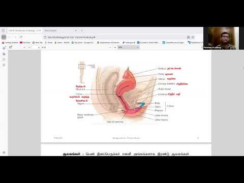 Female Reproductive System | Menstrual Cycle + Ovulation Explained 🔥 | A/L Biology 2026 Revision