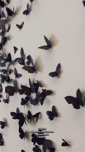 250126b - Phoenix Art Museum