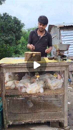 Mudur Vlog on Instagram: "Murga ke meet Maithili comedy reels 😂 🤣 😆 #mudurreels #viralreels #fbreels #reelsvideo #reelsinsta #trendingreels #comedyreels #comedy #reels #viral"