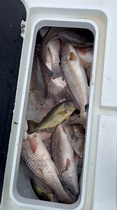 Venice Guide Service on Reels