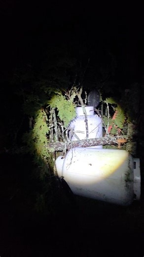 Storm call #downeastboystreeservice #stormdamage #StormCleanup #powerlines | Downeast Boys Tree Service