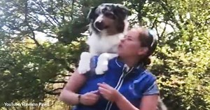 Love and 9 Other Reasons Why Dogs Are Fond of Climbing onto Their Owners' Shoulders! | GreaterGood