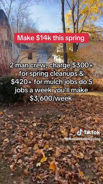 Lentini Landscaping LLC on TikTok